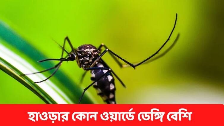 Howrah 2 people died in 2 weeks in Dengue,  mosquito larvae found in ward no 9 Howrah Dengue :  ২ সপ্তাহে ২ জনের মৃত্যু, ডেঙ্গিতে ত্রস্ত হাওড়া ! এই ওয়ার্ডে মিলল লার্ভা