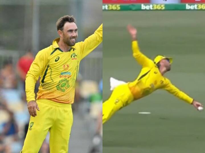 australia vs new zealand glenn maxwell one handed catch Kane Williamson Cairns VIDEO: Glenn Maxwell ने एक हाथ से पकड़ा खतरनाक कैच, वायरल हो रहा वीडियो