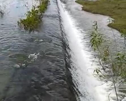 Latur Rain : लातूर जिल्ह्यात तुफान पाऊस, पिकं वाहून जाण्याची वेळ, शेतकरी चिंतेत