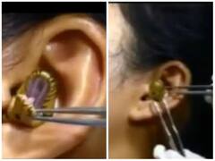 Snake Video: ਬਿੱਲ ਸਮਝ ਕੇ ਕੰਨਾਂ ਵਿੱਚ ਵੜਿਆ ਸੱਪ, ਵੀਡੀਓ ਦੇਖ ਕੇ ਕੰਬ ਜਾਵੇਗਾ ਦਿਲ