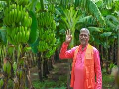 फलों से लद जाएगा केले का पेड़, कम खर्च में अधिक उपज के लिए अपनाएं ये जबरदस्त उपाय