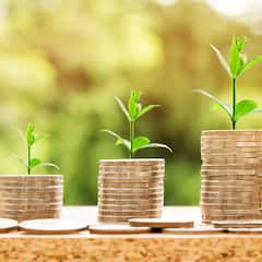 Investment Tips : কোথায় বিনিয়োগ করলে লাভের মুখ দেখতে পারেন ?