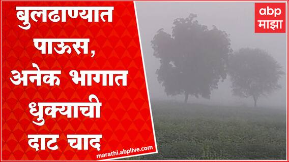 Buldhana Monsoon : जिल्ह्यात काल सायंकाळी पाऊस, अनेक भागात धुक्याची दाट चादर बघायला