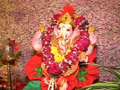 Ganesh Chaturthi 2022 : अमरावतीत देश-विदेशातील तब्बल 400 हून अधिक गणेश मूर्ती एकाच घरी विराजमान