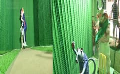 Ganesh Chaturthi: બોક્સ ક્રિકેટ થીમ પર બનેલા ગણપતિ બન્યા આકર્ષણનું કેન્દ્ર, મુષકરાજ કરે છે બોલિંગ તો એમ્પાયર છે નંદી, જુઓ તસવીરો