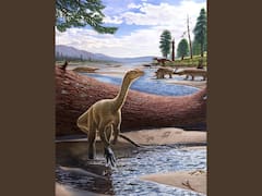 Mbiresaurus Raathi: Researchers Discover And Name Africa's Oldest Known Dinosaur