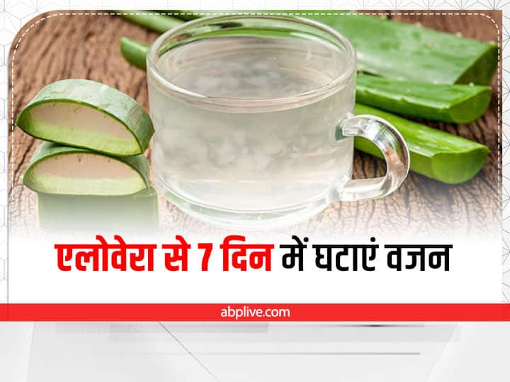 Aloe Vera For Weight Loss: एलोवेरा को अमृत माना जाता है. इससे वजन घटाने और त्वचा को हेल्दी रखने में मदद मिलती है. इसमें ऐसे पौष्टिक तत्व पाए जाते हैं, जो मोटापा कम करते हैं.