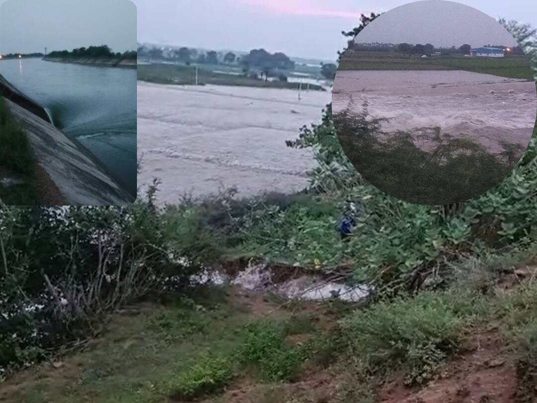 Nagarjuna Sagar left canal destroyed and hundreds acres of crop fields submerged. సాగర్‌ ఎడమ కాలువకు గండి- వెయ్యి ఎకరాల్లో పొలాలు మునక
