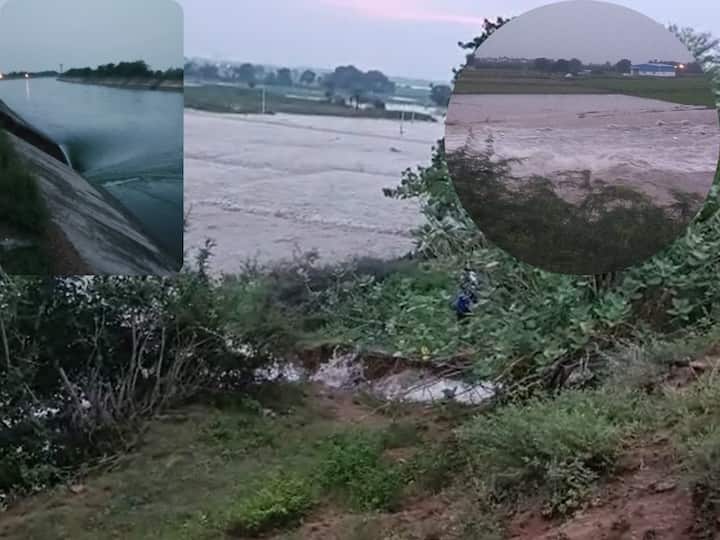 Nagarjuna Sagar left canal destroyed and hundreds acres of crop fields submerged. సాగర్‌ ఎడమ కాలువకు గండి-  వెయ్యి ఎకరాల్లో పొలాలు మునక