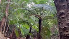 In Pics: युवाओं ने की नये वाटरफॉल की खोज, सोशल मीडिया पर इसकी खूबसूरती की चर्चा जोरों पर, देखें तस्वीरें