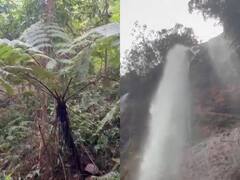 In Pics: युवाओं ने की नये वाटरफॉल की खोज, सोशल मीडिया पर इसकी खूबसूरती की चर्चा जोरों पर, देखें तस्वीरें