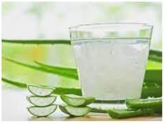 Weight Loss Diet: एलोवेरा से सिर्फ 7 दिन में घटाएं वजन, ये है इस्तेमाल करने का सही तरीका