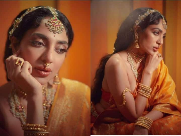 Sobhita Dhulipala took to social media and shared a look from her latest shoot. The actress looked like a royal queen and we could do nothing but stare at her as we were smitten with her charm.