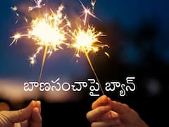 Delhi Govt On Firecrackers: అక్కడ క్రాకర్స్ కాల్చటానికి వీల్లేదు, వచ్చే ఏడాది జనవరి వరకూ బ్యాన్