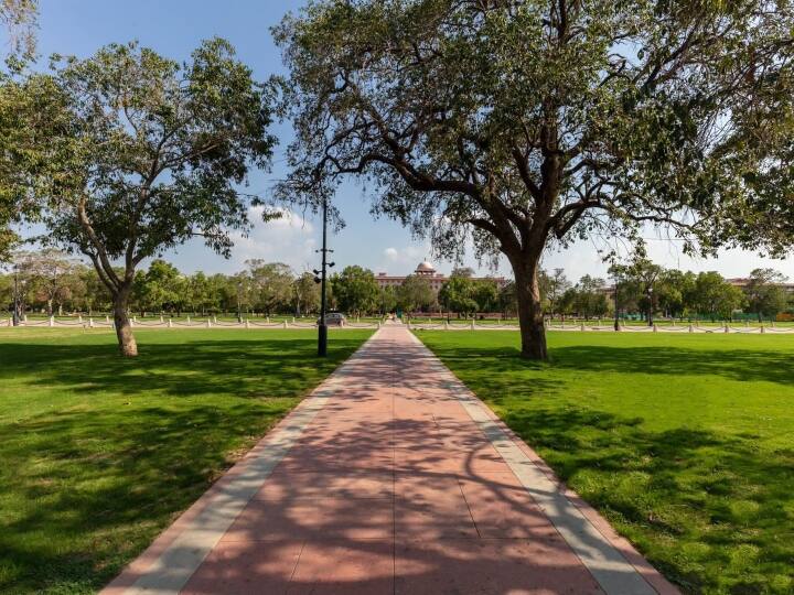 मुख्य मूर्तिकार अरुण योगीराज द्वारा तैयार की गई 28 फुट ऊंची प्रतिमा को एक ग्रेनाइट पत्थर पर उकेरा गया है और इसका वजन 65 मीट्रिक टन है.