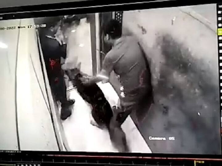 Noida News Pet Dog Bites boy in Lift in Apex Athena Society in Sector 75 Noida News: नोएडा में पालतू कुत्ते का आतंक, लिफ्ट में युवक को काटा, देखें वीडियो
