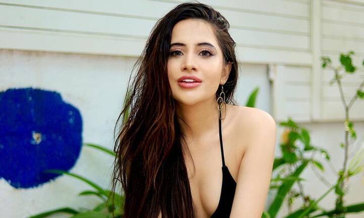 उर्फी ने इंटरव्यू में कहा था, मुझे ऐसा लगता था जैसे मेरी जिंदगी बर्बाद हो चुकी थी, मेरे रिश्ते टूट रहे थे और मेरी जेब भी खाली थी. कभी कभी मुझे ऐसा लगता था जैसे मैं एक हारी हुई इंसान हूं और मुझे ज़िन्दा नहीं रहना चाहिए.