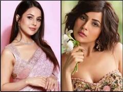 Shehnaaz Gill ਨੇ ਖ਼ੁਦ ਨੂੰ ਦੱਸਿਆ Pan India star, ਕਿਹਾ - ਮੈਨੂੰ ਤਾਂ ਹਰ ਕੋਈ ਪਿਆਰ ਕਰਦਾ ਹੈ ਕਿਉਂਕਿ...