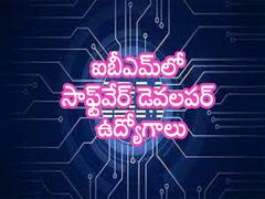 IT Jobs: ఐబీఎమ్‌లో సాఫ్ట్‌వేర్ ఉద్యోగాలు,అర్హతలివే!