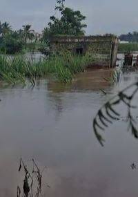 नीरा-बारामती रस्त्यावरील पूल ओढ्याच्या पुराच्या पाण्याखाली