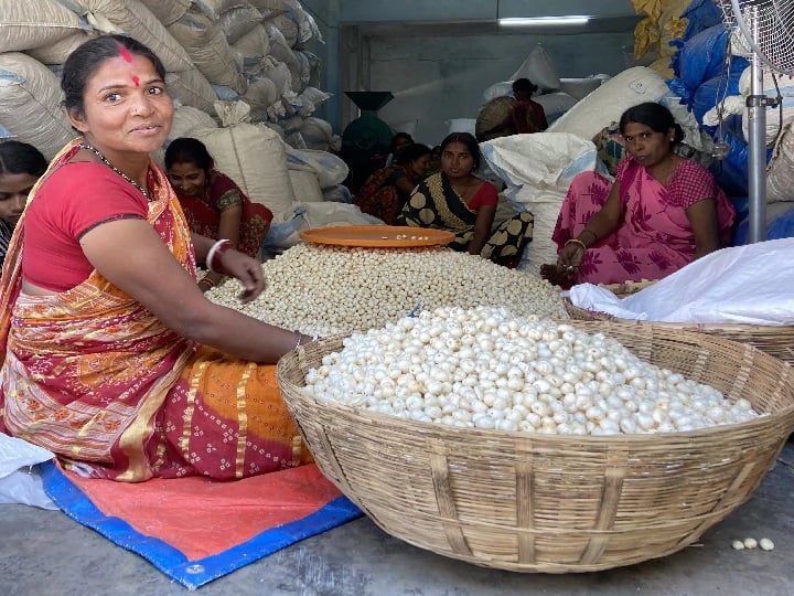 Bihar Government Provide 25% subsidy to set up Makhana Processing Unit along with farming Subsidy Offer: खेती के साथ-साथ मखाना Processing Unit लगायें किसान, यहां मिलेगा 25% तक भारी अनुदान