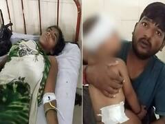 தாயைவிட பெரிய சக்தி எதுவும் இல்லை.. புலியோடு சண்டையிட்டு குழந்தையை மீட்ட அம்மா!