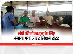 उदयपुर में लंपी की रोकथाम के लिए बनाया गया आइसोलेशन सेंटर, ऐसे हो रहा गायों का इलाज