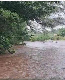 मुसळधार पावसामुळं शेतात शिरलं पाणी