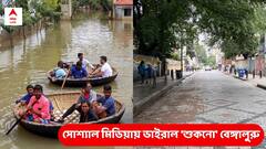 সব জায়গায় বন্যা নয়, 'স্বাভাবিক' বেঙ্গালুরুর ছবি ভাইরাল সোশ্যাল মিডিয়ায়