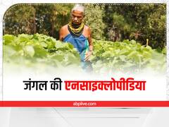 'जंगल की इनसाइक्लोपीडिया' है तुलसी गौड़ा, रिटायरमेंट के बाद में बचा रही हैं जंगलों की आन-बान और शान
