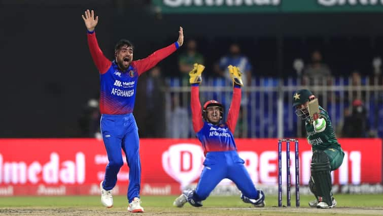 Asia Cup 2022 Afghanistan lost by 1 wicket against Pakistan in Match 10 at Sharjah Cricket Stadium AFG vs PAK, Match Highlight: পাকিস্তানকে চাপে ফেলেও ২ ফুলটসে স্বপ্নভঙ্গ আফগানিস্তানের, শেষ ভারতের আশাও