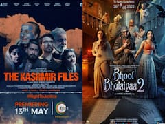 The Kashmir Files, Bhool Bhulaiyaa 2 Are The Films With Best Return On Investment in 2022