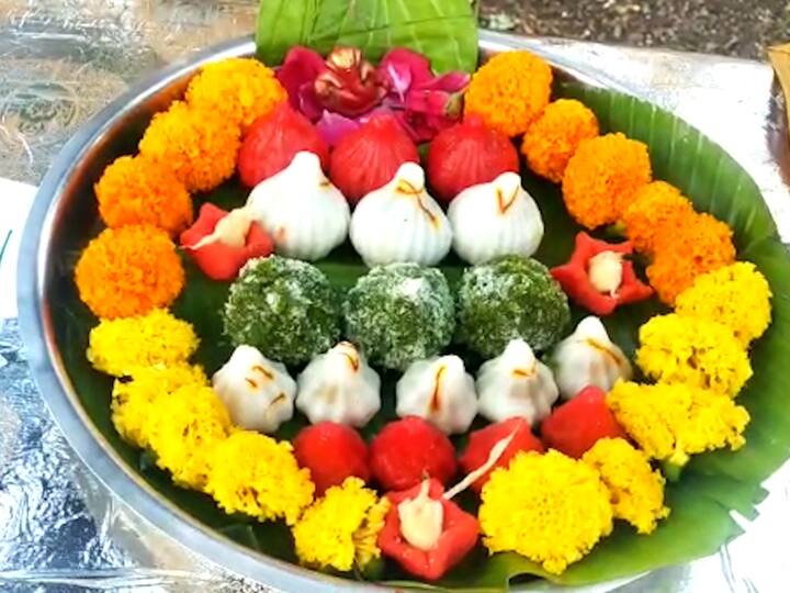 उकडीचे मोदक, खोबऱ्याचे मोदक, चॉकलेटचे मोदक, विड्याच्या पानापासून बनविलेले मोदक, डाळीचे मोदक, पेढ्यांचे मोदक, मोतीचूरचे मोदक असे वेगवेगळ्या प्रकारचे चविष्ट मोदक या ठिकाणी पहायला मिळाले.