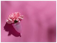 Advantage of Using Menstrual Cup: एक दो नहीं बल्कि मेंस्ट्रुअल कप के इस्तेमाल करने के हैं कई फायदें, जानिए