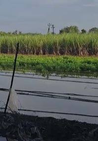 बारामतीच्या पश्चिम भागात ढगफुटी सदृश पाऊस