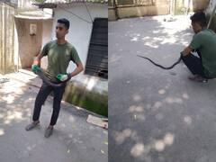 बूंदी में कोबरा सांप के डसने से 2 बच्चो की मौत, एसपी के बंगले से निकालने में सुरक्षाकर्मियों के छूटे पसीने