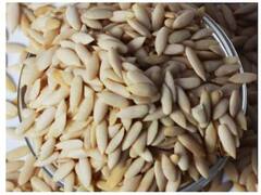 Weight Loss: સીડ્સના સેવનથી વેઇટ લોસની સાથે સ્કિનને થશે આ અદભૂત ફાયદા, આ રીતે કરો સેવન