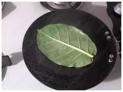 Aak Leaves For Diabetes: इस पत्ते को पैर के तलवों में लगाने से डायबिटीज पेशेंट का शुगर लेवल होगा कंट्रोल, जानें कैसे