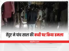 गोधरा में पांच साल की बच्ची को उठा ले गया तेंदुआ, हुई मौत, इलाके में ये तीसरी घटना