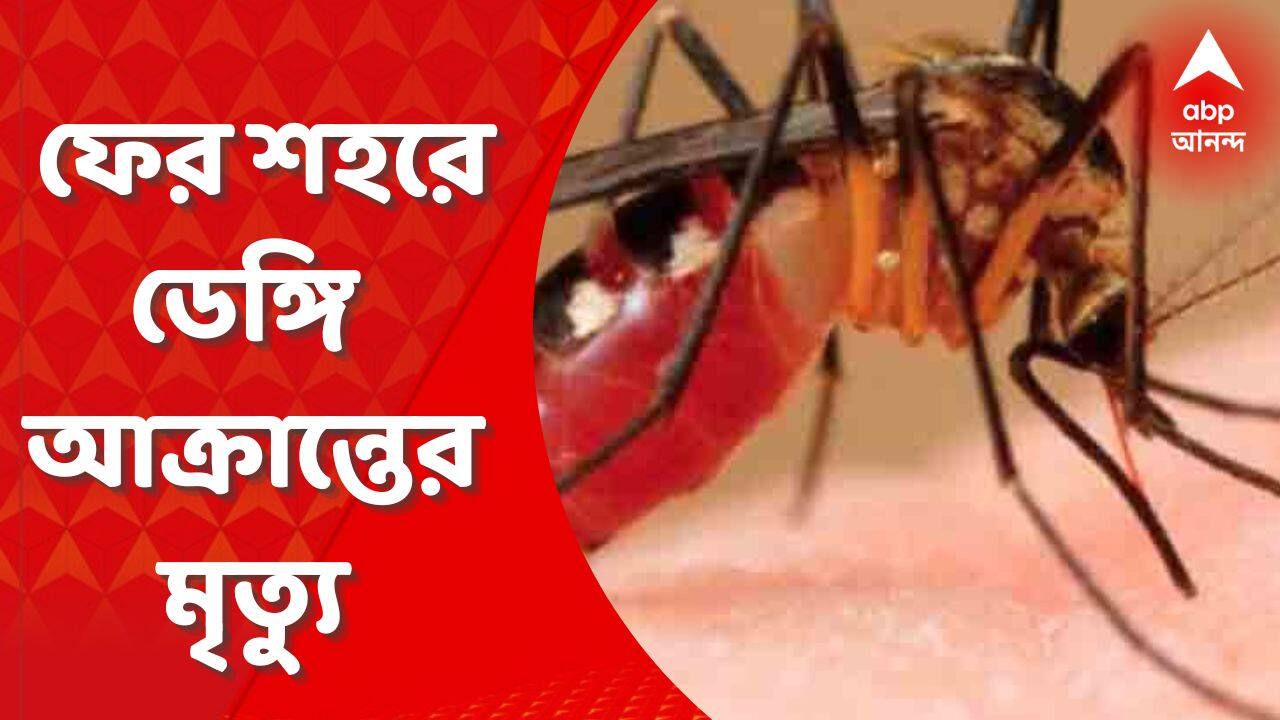 ABP News ABP News