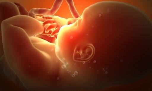 ਫੋਲਿਕ ਐਸਿਡ ਬੱਚਿਆਂ ਨੂੰ ਤਾਕਤ ਦਿੰਦਾ ਹੈ ਅਤੇ ਬੱਚੇ ਨੂੰ ਕਈ ਜਾਨਲੇਵਾ ਬਿਮਾਰੀਆਂ ਤੋਂ ਵੀ ਬਚਾਉਂਦਾ ਹੈ।