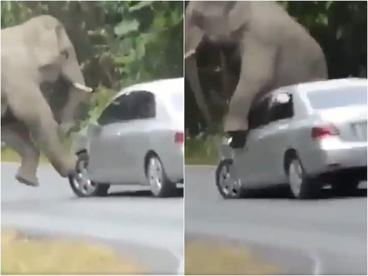 Viral Video Elephant Damages Car To Scratch Itself, Internet In Splits - Watch Viral Video: ఇదేం గోకుడు సామీ! తుక్కుతుక్కు చేసేశావ్ కదా గణేశా!