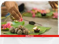 पितृ पक्ष में क्यों दिया जाता है कौवे को खास महत्व? जानिए वजह