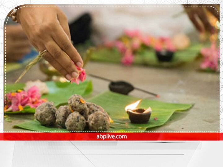 पितृ पक्ष में लोग अपने पितरों को पिंड दान करते हैं और पूरे आदर के साथ ब्राह्मणों को भोज कराते हैं. पितृ पक्ष में कौवों को निवाला देना बहुत शुभ माना जाता है. मान्यता है कि हमारे पूर्वज कौवों के ही रूप में धरती पर आते हैं.