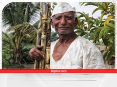 30 से ज्यादा फसलों की जैविक खेती में माहिर हैं 74 साल के नारायण, ऑर्गेनिक गन्ना से मिली खास पहचान