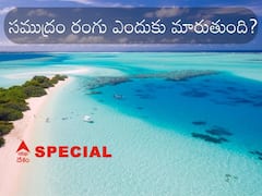 Ocean's Color: సముద్రం రంగులు ఎందుకు మారతాయి? దీని వెనకాల ఏమైనా మిస్టరీ ఉందా?