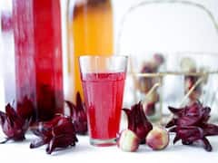 Hibiscus Kombucha : கொம்புச்சா பற்றி கேள்விப்பட்டிருக்கீங்களா? செம்பருத்தி கொம்புச்சாவுல இத்தனை நன்மைகளா?