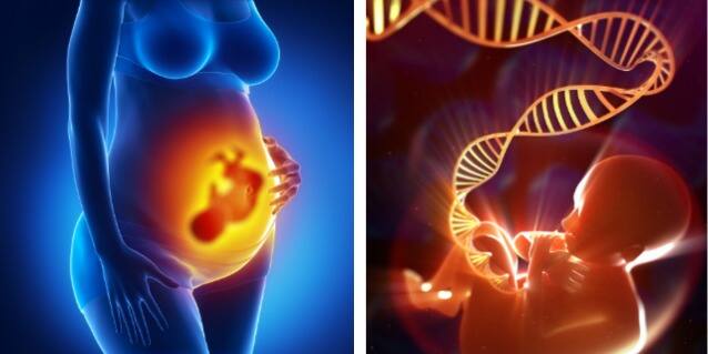 ਜਿਹੜੀਆਂ ਔਰਤਾਂ ਗਰਭ ਅਵਸਥਾ ਦੌਰਾਨ ਫੋਲਿਕ ਐਸਿਡ ਲੈਂਦੀਆਂ ਹਨ, ਉਨ੍ਹਾਂ ਦੇ ਬੱਚਿਆਂ ਵਿੱਚ ਵਧੇਰੇ ਭਾਵਨਾਤਮਕ ਬੁੱਧੀ ਅਤੇ ਬਿਮਾਰੀਆਂ ਤੋਂ ਠੀਕ ਹੋਣ ਦੀ ਸਮਰੱਥਾ ਹੁੰਦੀ ਹੈ।