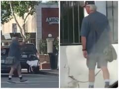 पालतू हंस के साथ सड़क पार करते दिखा शख्स, वीडियो देख होगी हैरानी