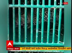 Surat : લોકોમાં દહેશત મચાવનાર દીપડો પુરાયો પાંજરે, લોકોએ લીધો રાહતનો શ્વાસ